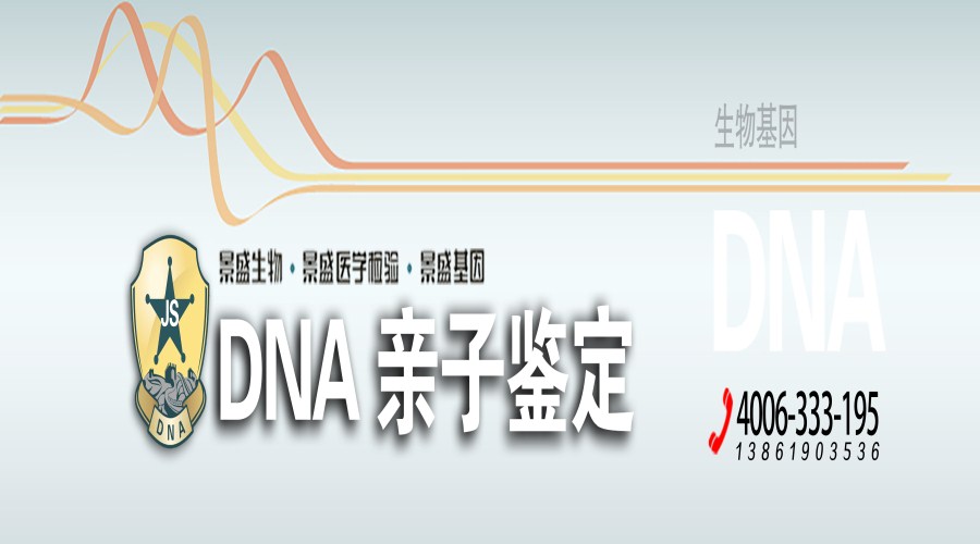 2022-dna (3)_副本